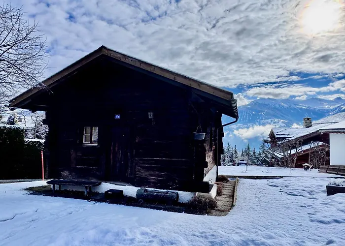 Le Petit Nid - Montana Chalet